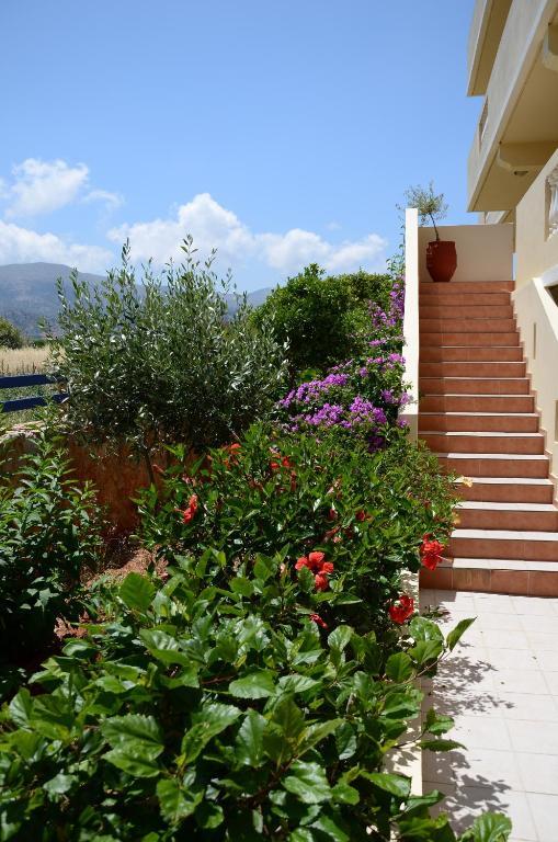Cretan Family Apartments マリア エクステリア 写真